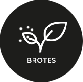 Brotes alimentarios