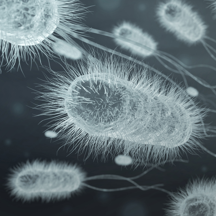 Superbacterias. ¿Cómo frenar su avance?